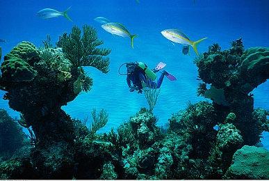 《任天堂Switch运动》2022夏季CM 新垣结衣出演